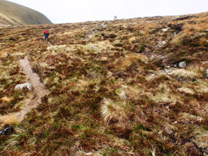 Mourne Heritage Trust